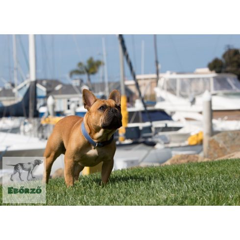 LUPINE nyakörv (ECO Mountain Lake 2,5 cm széles 31-50 cm)