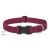 Lupine ECO Collection Berry Adjustable Collar 2,5 cm width 31-50 cm -  For Medium and Larger Dogs