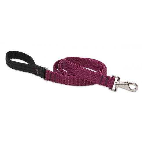 Lupine ECO Collection Berry Padded Handle Leash 2,5 cm width 122 cm - For medium and larger dogs