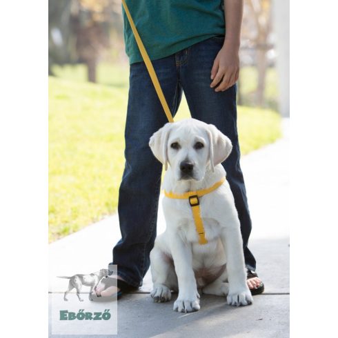 Lupine Step-in hám (ECO Sunshine 1,9 cm széles  39-53 cm)