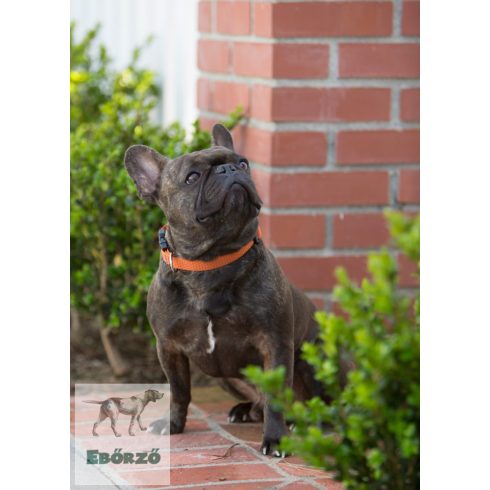 Lupine ECO Collection Pumpkin Adjustable Collar 1,9 cm width 23-35 cm -  For the widest range of dog sizes