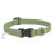 Lupine ECO Collection Moss Adjustable Collar 1,9 cm width 23-35 cm -  For the widest range of dog sizes