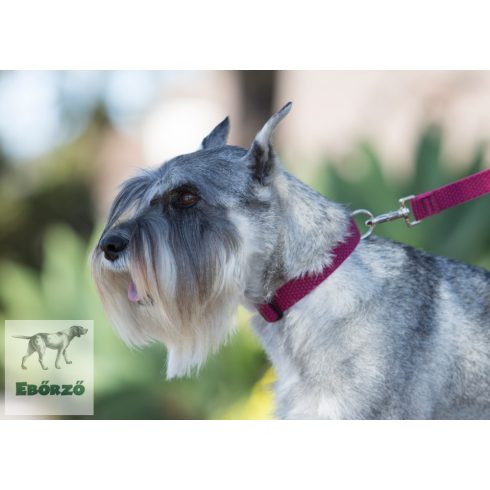 Lupine ECO Collection Berry Adjustable Collar 1,9 cm width 23-35 cm -  For the widest range of dog sizes