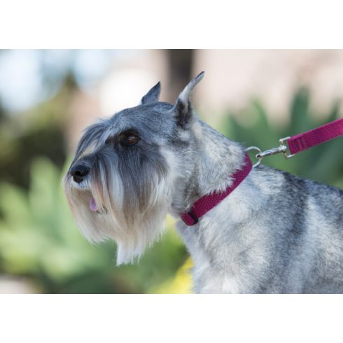 Lupine póráz (ECO 1,9 cm széles Berry 122 cm)