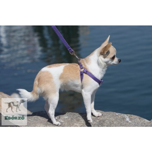 Lupine Step-in hám (ECO Lilac 1,25 cm széles  26-33 cm)