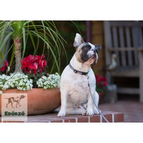 LUPINE nyakörv (ECO Granite 1,25 cm széles 25-41 cm)