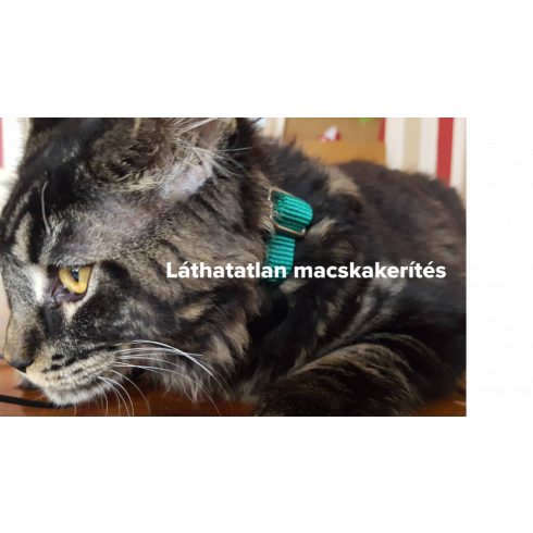 macska szökésgátló macska kerítés