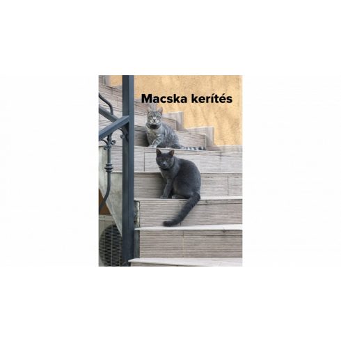 Dogwatch® macska szökésgátló, macska kerítés Gold csomag
