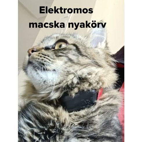 Dogwatch® macska szökésgátló, macska kerítés Gold csomag