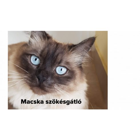 Dogwatch® macska szökésgátló, macska kerítés Gold csomag