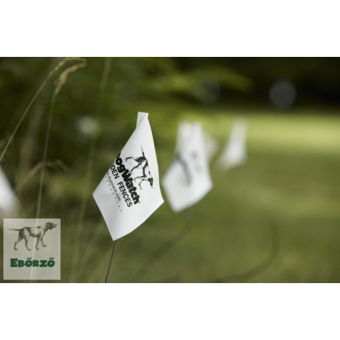 Zászló a tanításhoz