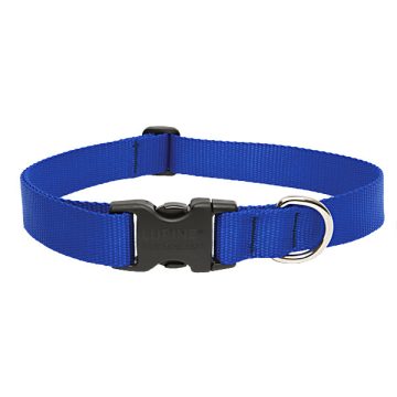   Lupine Basics Solids Blue Adjustable Collar 2,5 cm width 31-50 cm -  For Medium and Larger Dogs