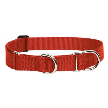   Lupine Basics Solids Red Martingale Training Collar 2,5 cm width 49-68 cm -  For Larger Dogs