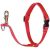 Lupine Basic Solids Red No Pull Training Harness 2,5 cm width 61-96  cm - For medium and larger dogs