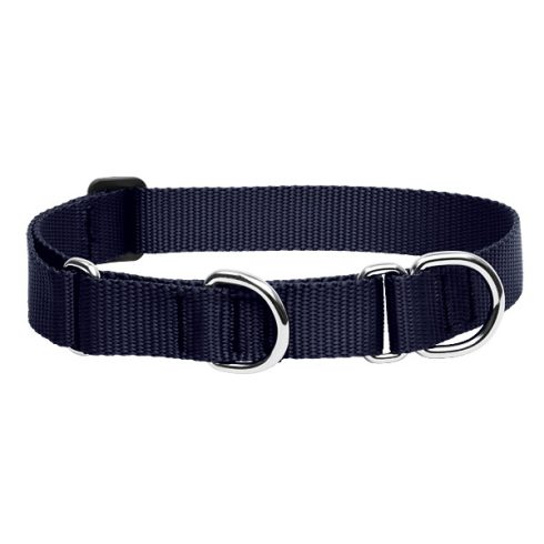 Lupine Basics Solids Black Martingale Training Collar 2,5 cm width 39-55 cm -  For Medium and Larger Dogs