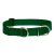 Lupine Basics Solids Green Martingale Training Collar 2,5 cm width 39-55 cm -  For Medium and Larger Dogs