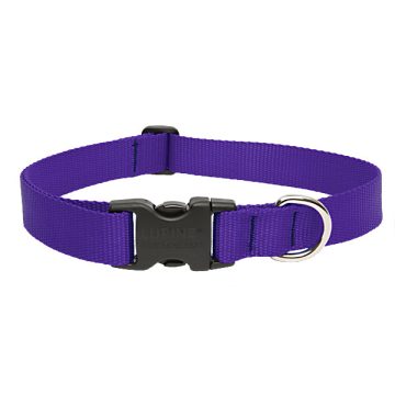   Lupine Basics Solids Purple Adjustable Collar 2,5 cm width 31-50 cm -  For Medium and Larger Dogs