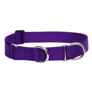   Lupine Basics Solids Purple Martingale Training Collar 2,5 cm width 39-55 cm -  For Medium and Larger Dogs