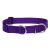 Lupine Basics Solids Purple Martingale Training Collar 2,5 cm width 39-55 cm -  For Medium and Larger Dogs