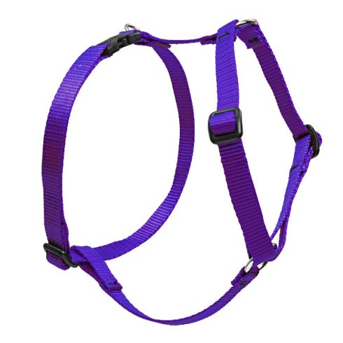 Lupine Basic Solids Purple Roman Harness 2,5 cm width 61-96 cm - For medium and larger dogs