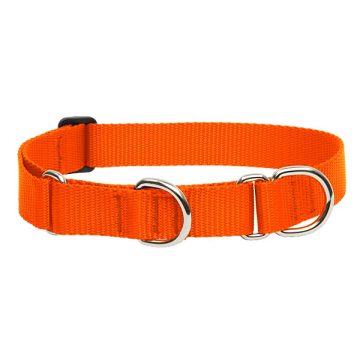 Lupine Combo Halsband (Blaze Orange 1" 49-68 cm)