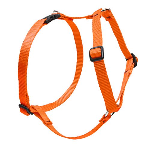 Lupine Basic Solids Blaze Orange Roman Harness 2,5 cm width  51-81 cm - For medium and larger dogs