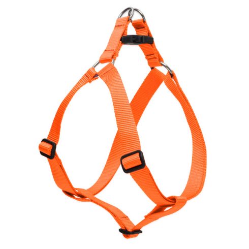 Lupine Basic Solids Blaze Orange Step-in Harness 2,5 cm width  49-68 cm - For medium and larger dogs