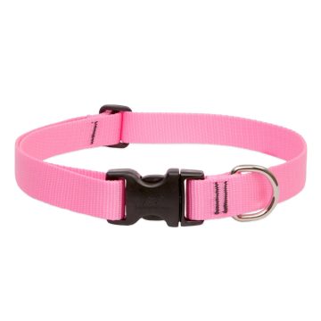   Lupine Basics Solids Pink Adjustable Collar 2,5 cm width 31-50 cm -  For Medium and Larger Dogs