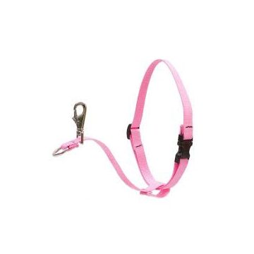 LUPINE NO PULL (Pink 2,5 cm széles 60-96 cm)