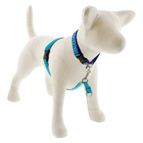 Lupine Basic Solids Aqua No Pull Training Harness 1,9 cm width 36-60  cm - For small and medium dogs
