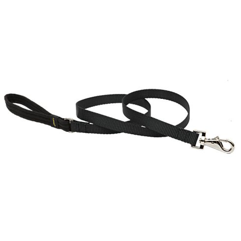 Lupine Basics Solids Black Padded Handle Leash 1,9 cm width 122 cm -  For the widest range is dog sizes