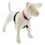 Lupine Basic Solids Black No Pull Training Harness 1,9 cm width 36-60  cm - For small and medium dogs