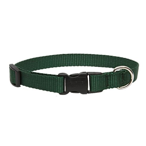 Lupine Basics Solids Green Adjustable Collar 1,9 cm width 23-35 cm -  For Medium Dogs