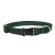 Lupine Basics Solids Green Adjustable Collar 1,9 cm width 34-55 cm -  For Medium Dogs