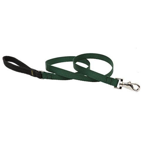 Lupine Basics Solids Green Padded Handle Leash 1,9 cm width 122 cm -  For the widest range is dog sizes