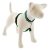 Lupine Basic Solids Green No Pull Training Harness 1,9 cm width 36-60  cm - For small and medium dogs