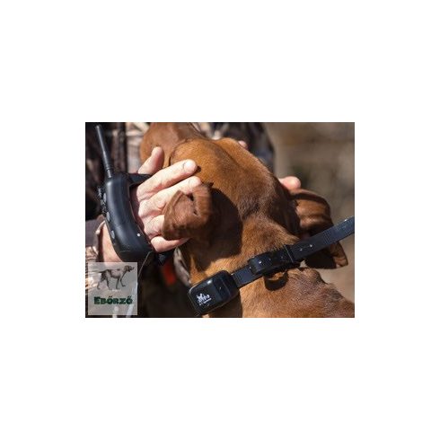 R.A.P.T. 1400 professionellste Ferntrainer