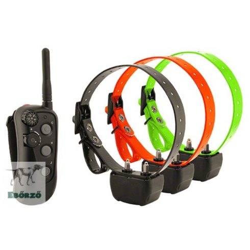 R.A.P.T. 1400 professionellste Ferntrainer