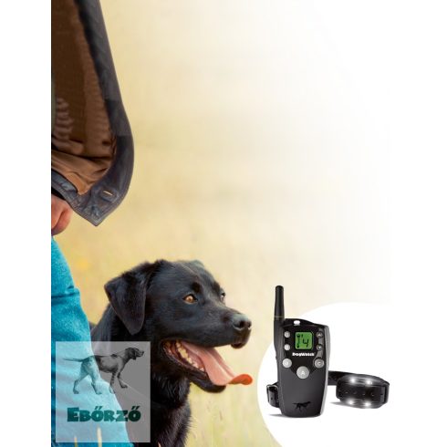  elektromos kutya nyakörv Dogwatch S15