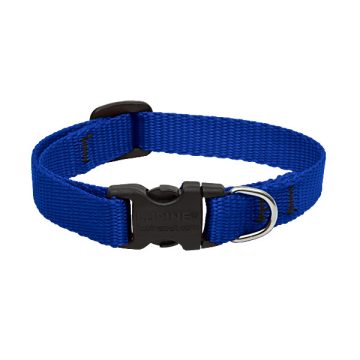   Lupine Basics Solids Blue Adjustable Collar 1,25 cm width 21-30 cm -  For Small Dogs