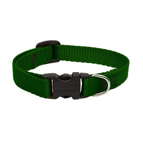 Lupine Basics Solids Green Adjustable Collar 1,25 cm width 21-30 cm -  For Small Dogs
