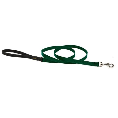 Lupine Basics Solids Green Padded Handle Leash 1,25 cm width 122 cm -  For Small Dogs