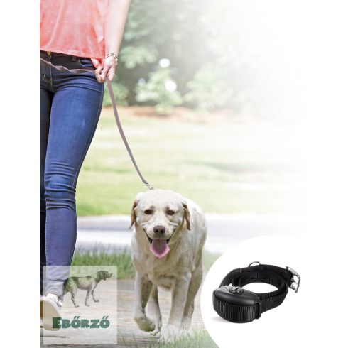 Kutyasétáltatás - Dogwatch húzásról leszoktató nyakörv - Sidewalker