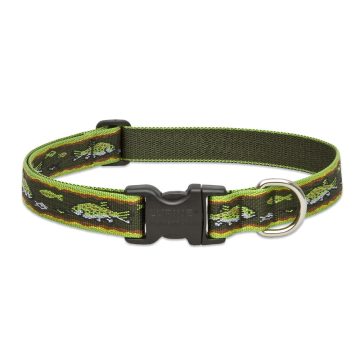   Lupine Original Collection Brook Trout Adjustable Collar 2,5 cm width 31-50 cm -  For Medium and Larger Dogs