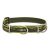 Lupine Original Collection Brook Trout Martingale Training Collar 2,5 cm width 39-55 cm -  For Medium and Larger Dogs
