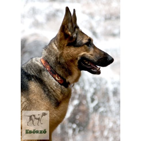 LUPINE Halsband (Shadow Hunter 2,5 cm breit 64-78 cm) 