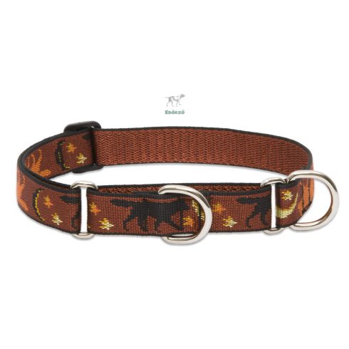 Lupine Original Collection Shadow Hunter Martingale Training Collar 2,5 cm width 39-55 cm -  For Medium and Larger Dogs