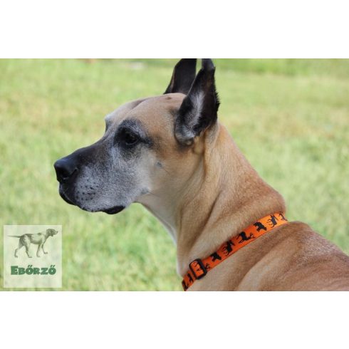 LUPINE Halsband (Spooky 2,5 cm breit 41-71 cm)