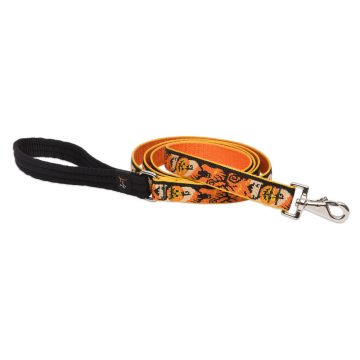   Lupine Original Designs Spooky Padded Handle Leash 2,5 cm width 183 cm - For medium and larger dogs