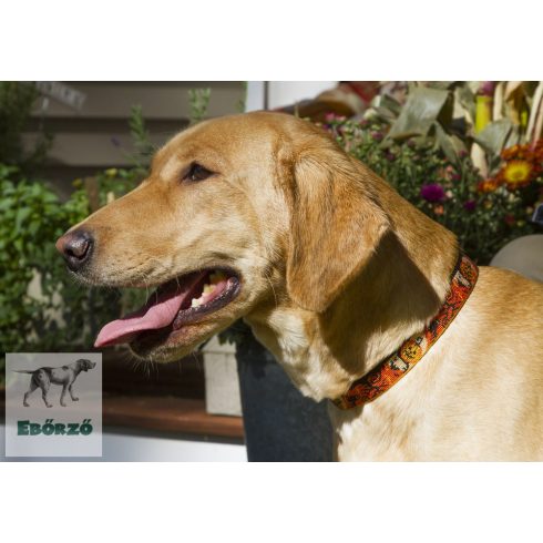 LUPINE póráz (Spooky 2,5 cm széles 183 cm)